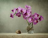 Pittoreske Orchidee von Joske Kempink Miniaturansicht