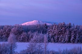 Lever du soleil à Sånfjället N.P.
