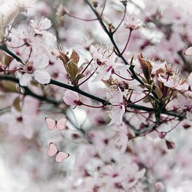 Pink blossom butterflies by Ellinor Creation