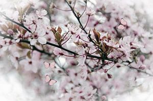 Papillons de fleurs roses