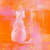 Chat blanc sur fond orange sur Karen Kaspar