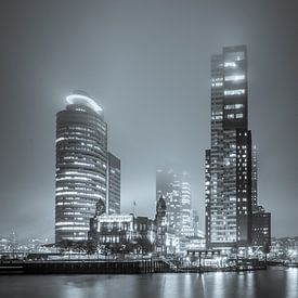 View on the Wilhelminakade by night and fog in black and white by Marc Goldman
