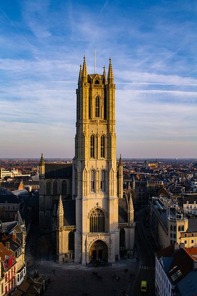 Saint Bavo's Cathedral by D.J. Mager
