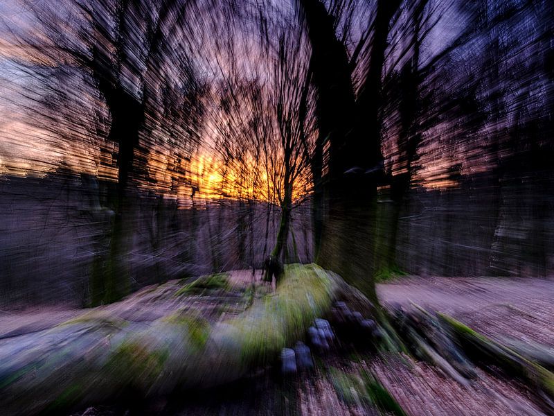 Leuvenum Wald von Eddy Westdijk