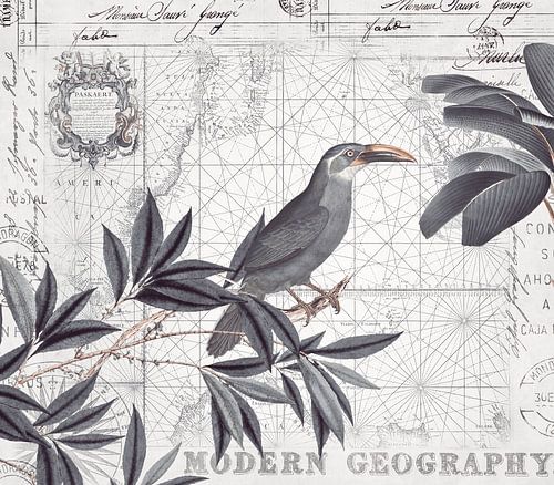 Tukan's ontdekkingsreis