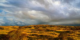 Dunes of Texel during a stormy autumn morning