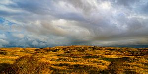 Dunes de Texel lors d'un matin d'automne orageux sur Sjoerd van der Wal Photographie