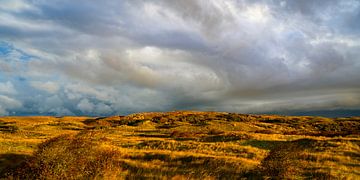 Die Dünen von Texel an einem stürmischen Herbstmorgen von Sjoerd van der Wal