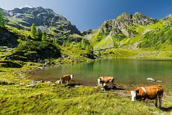 Schladminger Tauern II