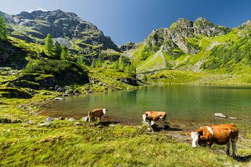 Schladminger Tauern II by Rainer Mirau