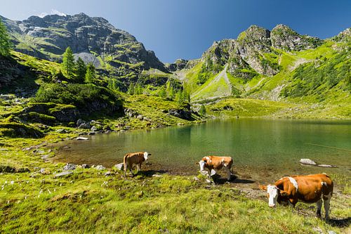 Schladminger Tauern II