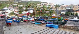 Haven Camaro de Lobos sur Eric van den Berg