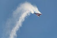 Rafale Solo Display Team 2018 in actie. van Jaap van den Berg thumbnail