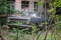 Lost Place - verlaten auto van Gentleman of Decay thumbnail