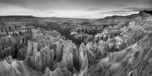 Bryce Canyon in de VS. Zwart-wit beeld.