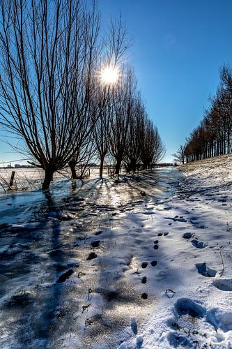 Historisch Winters Landschap in Amerongen
