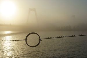 Willemsbrug in Rotterdam in de mist von Michel van Kooten