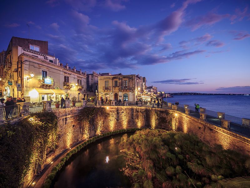 Syracuse - Ortigia / Fonte Aretusa (Sicile, Italie) par Alexander Voss