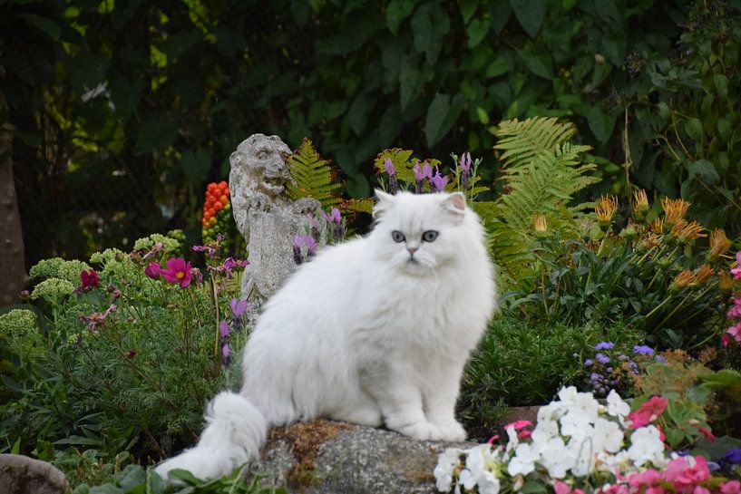Cat with Lion statue by Petra van Engelenburcht