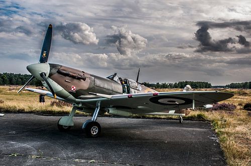 Spitfire
