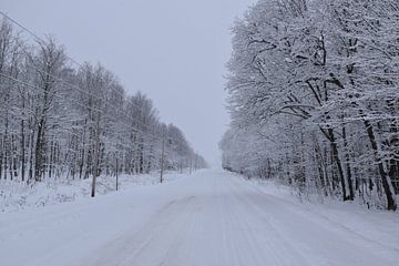 Une route de campagne en hiver sur Claude Laprise