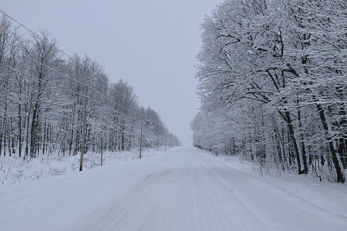 Une route de campagne en hiver