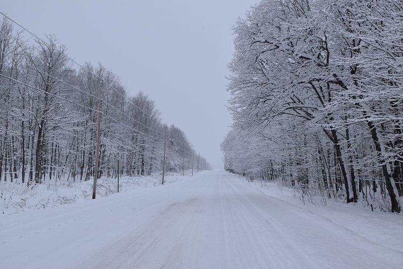 Eine Landstraße im Winter von Claude Laprise