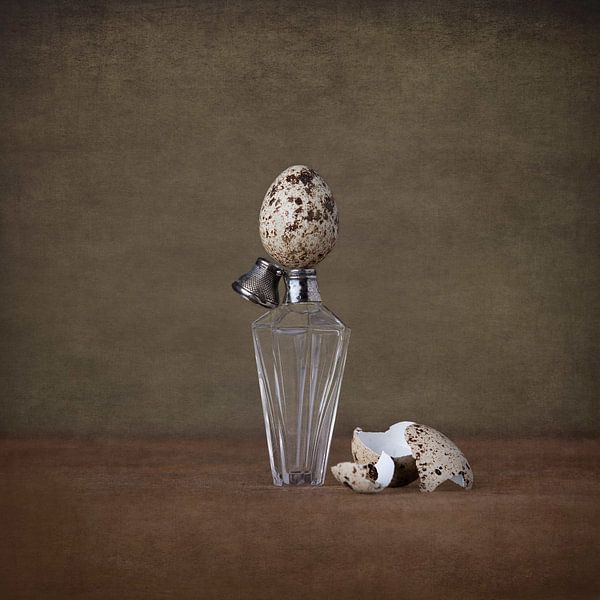 Don&#039;t try to fit in 4 by Oranje Tulp