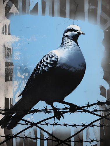 Stadsduif in Blauwe Stilte