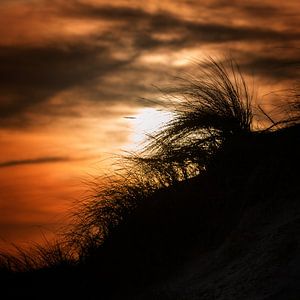 Zonsopkomst Texel van Ruud Peters