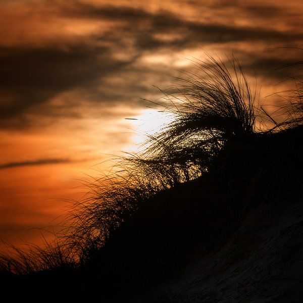 Sonnenaufgang Texel von Ruud Peters