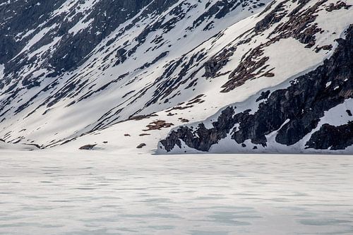 Quelque part en Norvège 8