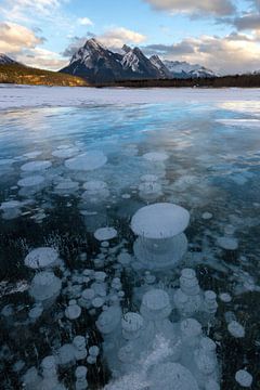 Methaanbubbels in Lake Abraham, Rocky Mountains van Jonathan Vandevoorde