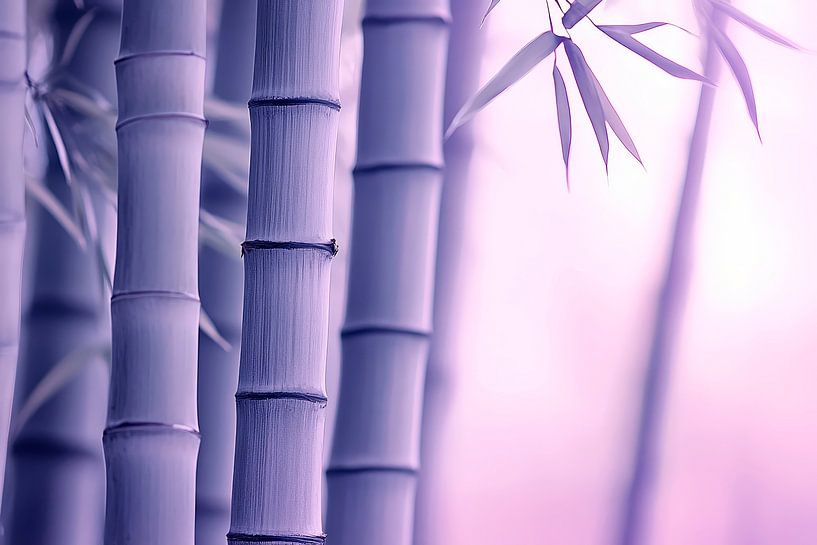 Bamboo trunks in purple light by Poster Art Shop