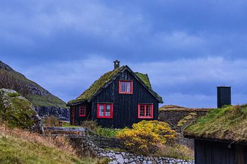 Traditioneel huis in het dorp Kirkjubøur op de Faeröer van Rico Ködder