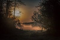 Brouillard du matin
