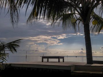 View of the Bali Sea with palm tree in Lovina Beach | Travel Photography by Daan Duvillier | Dsquared Photography