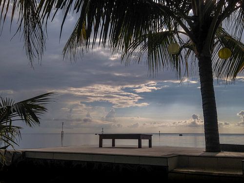 Vue de la mer de Bali avec un palmier à Lovina Beach | Photographie de voyage