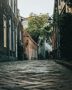 Prachtige straat in Haarlem van Sebastiaan van 't Hoog