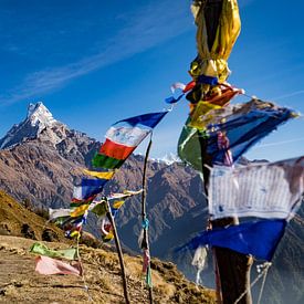 Bild vom Fishtail-Berggipfel des Mardi-Himal-Trekkings in Nepal, mit bunten Wunschflaggen im Vorderg von Twan Bankers