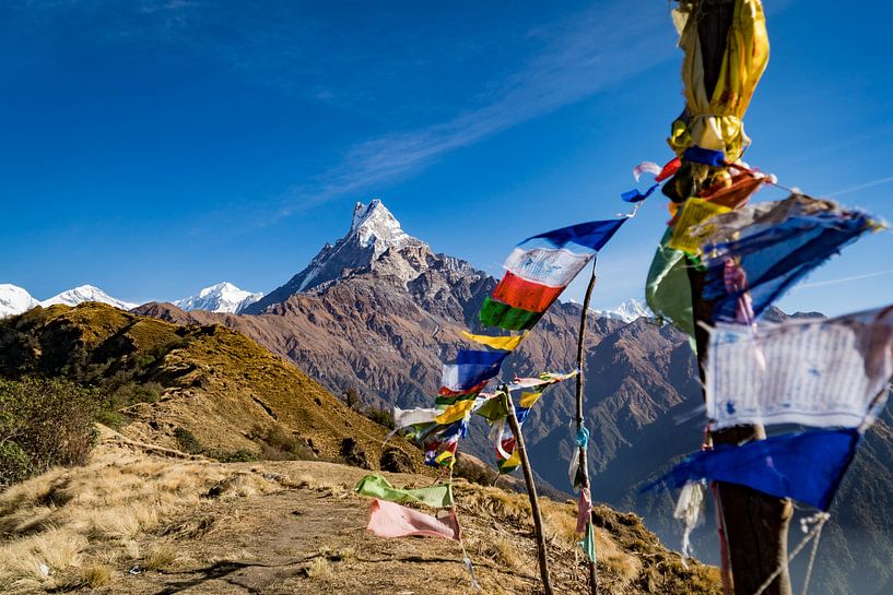 Bild vom Fishtail-Berggipfel des Mardi-Himal-Trekkings in Nepal, mit bunten Wunschflaggen im Vorderg von Twan Bankers