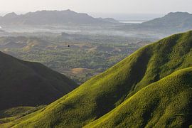 Alicia Rolling Hills, Bohol