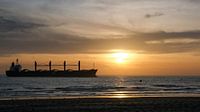 Schip bij zonsondergang in zee, Westkapelle, Nederland