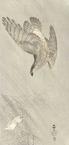 Falke auf der Jagd nach einem Hasen von Ohara Koson - 1900 - 1910