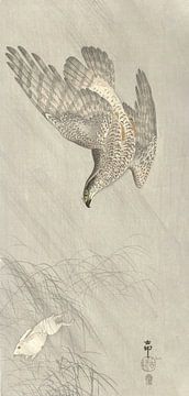 Faucon chassant un lièvre par Ohara Koson - 1900 - 1910