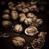 Walnuts. by Justin Sinner Pictures ( Fotograaf op Texel)