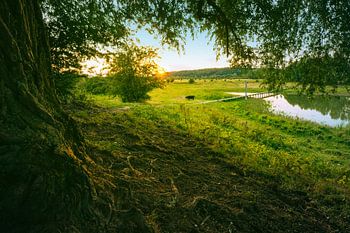 Zonsondergang in de Blaauwe Kamer