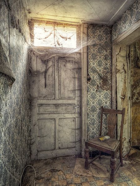 Lost Place - verlaten plaats - deur met spinnenwebben van Carina Buchspies