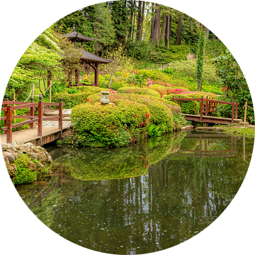 Japanse tuin met pagode en bruggetjes, Powerscourt, County Wicklow, Ierland