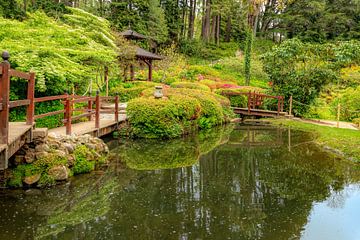 Japanse tuin met pagode en bruggetjes, Powerscourt, County Wicklow, Ierland van Mieneke Andeweg-van Rijn